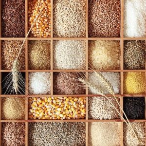 Small grain food and excellent knowledge