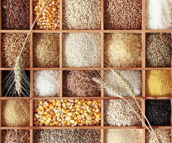 Small grain food and excellent knowledge