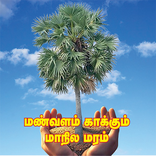 மண் வளம் காக்கும் மாநில மரம்